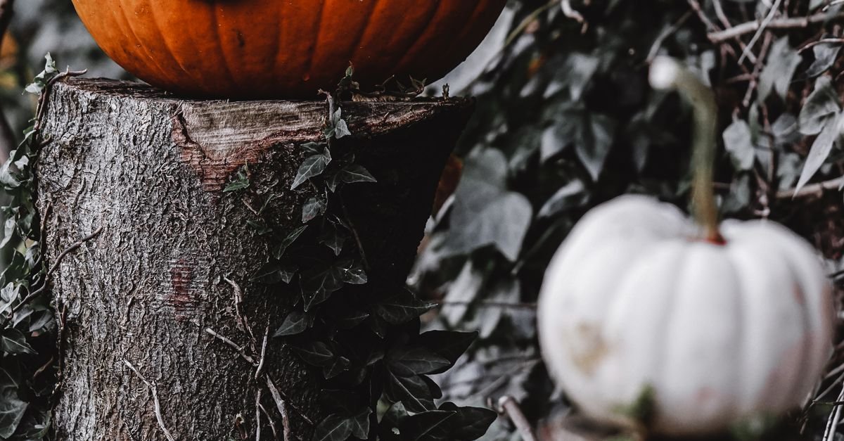 Spook Your iPhone: The Ultimate Guide to Halloween Wallpapers for iPhone